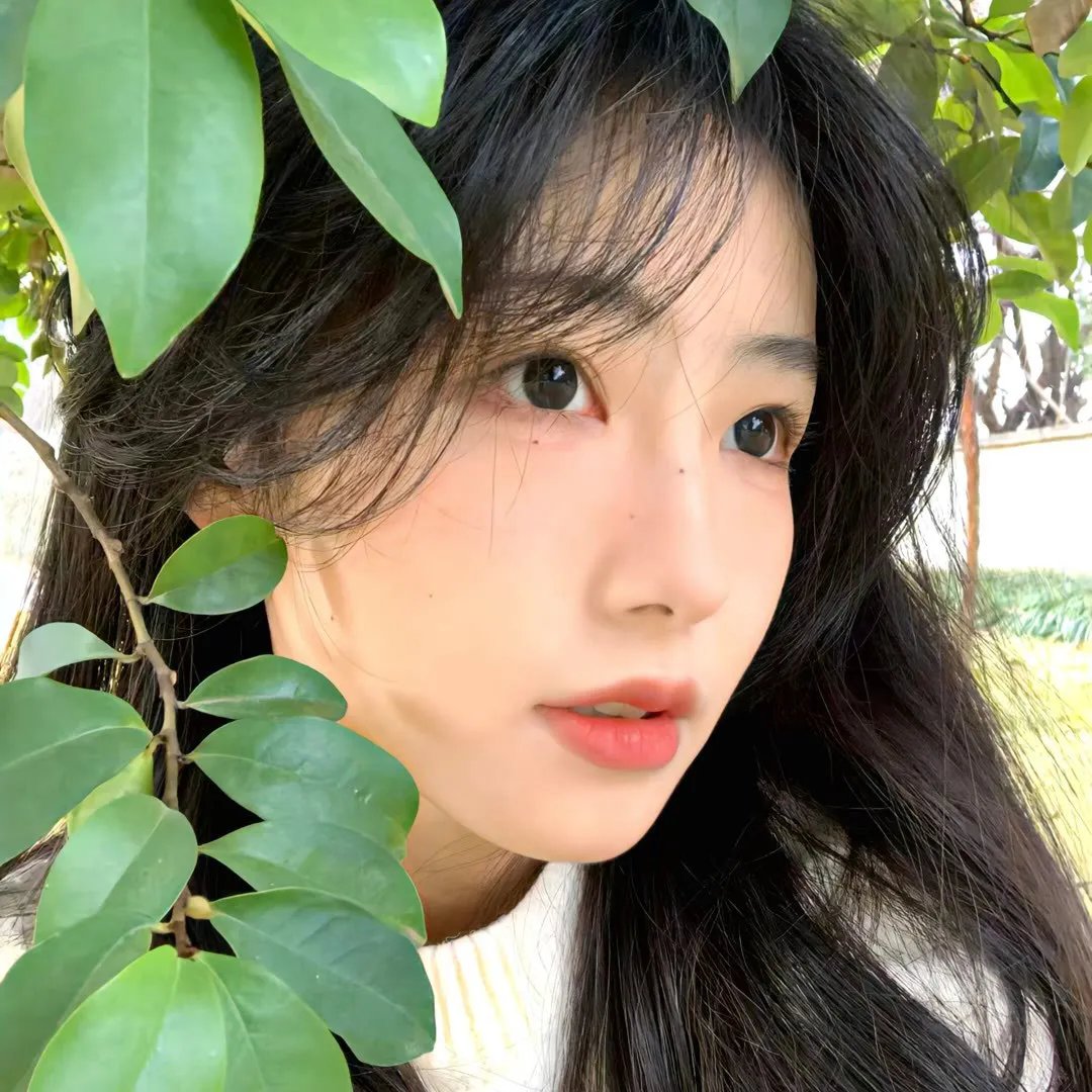 生命与灵魂